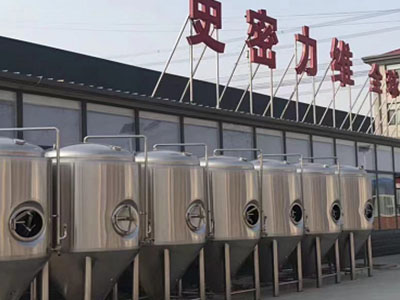 太康精酿啤酒设备厂—市场规模与跨界新需求